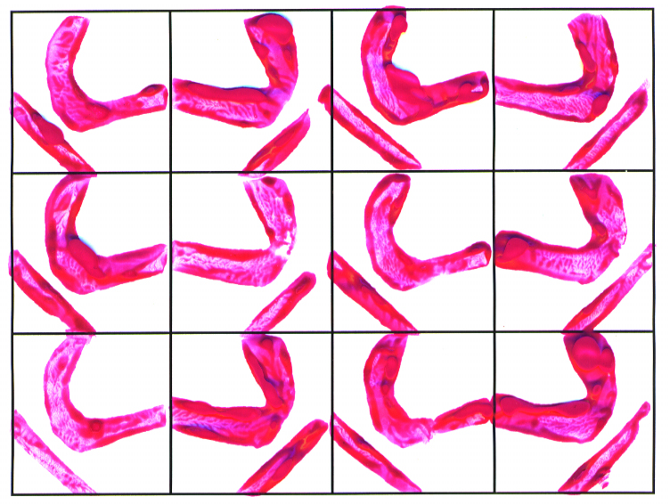 Potato printing figure